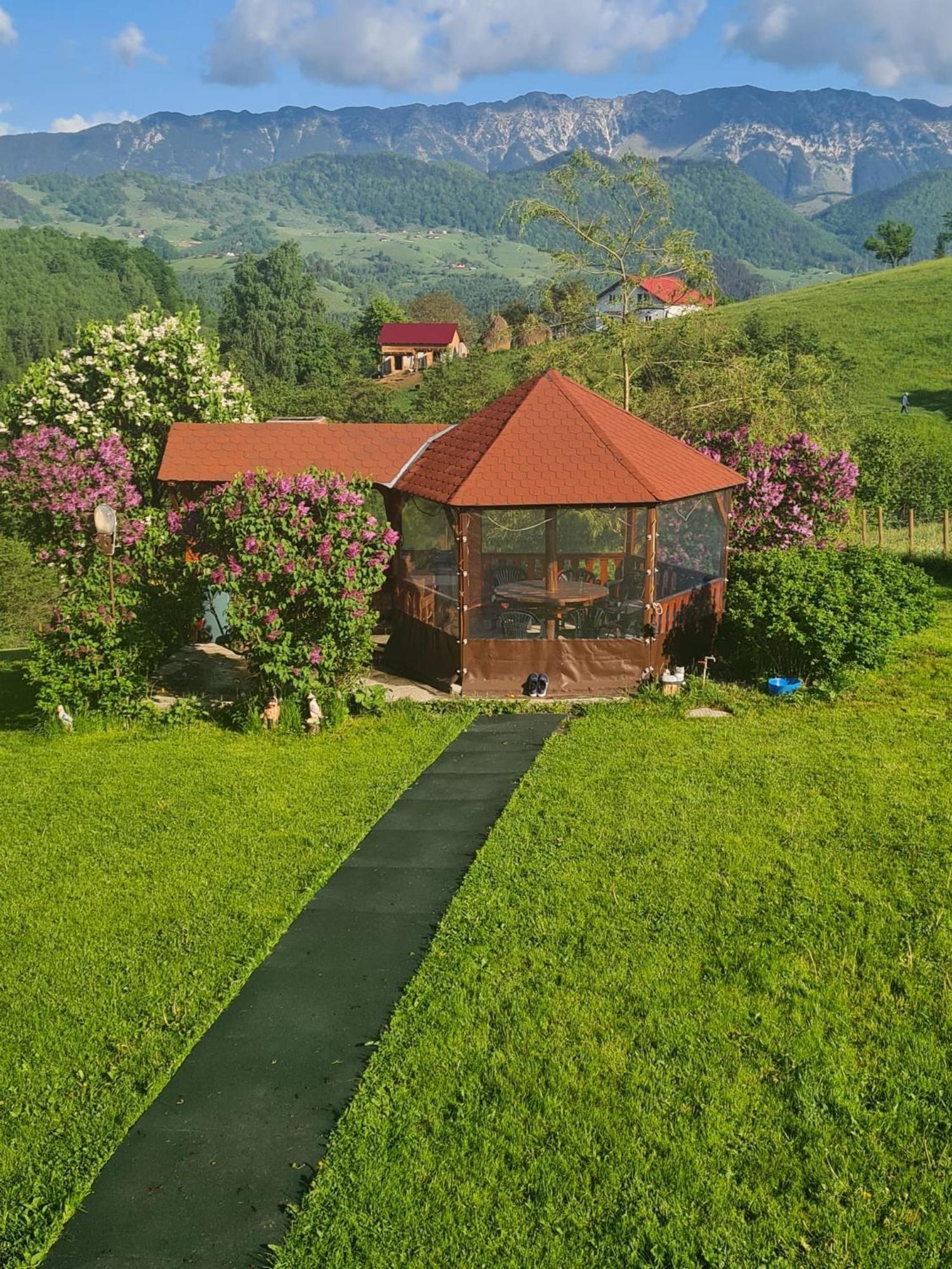 Nona Highland Home Моечу де Жос Екстериор снимка