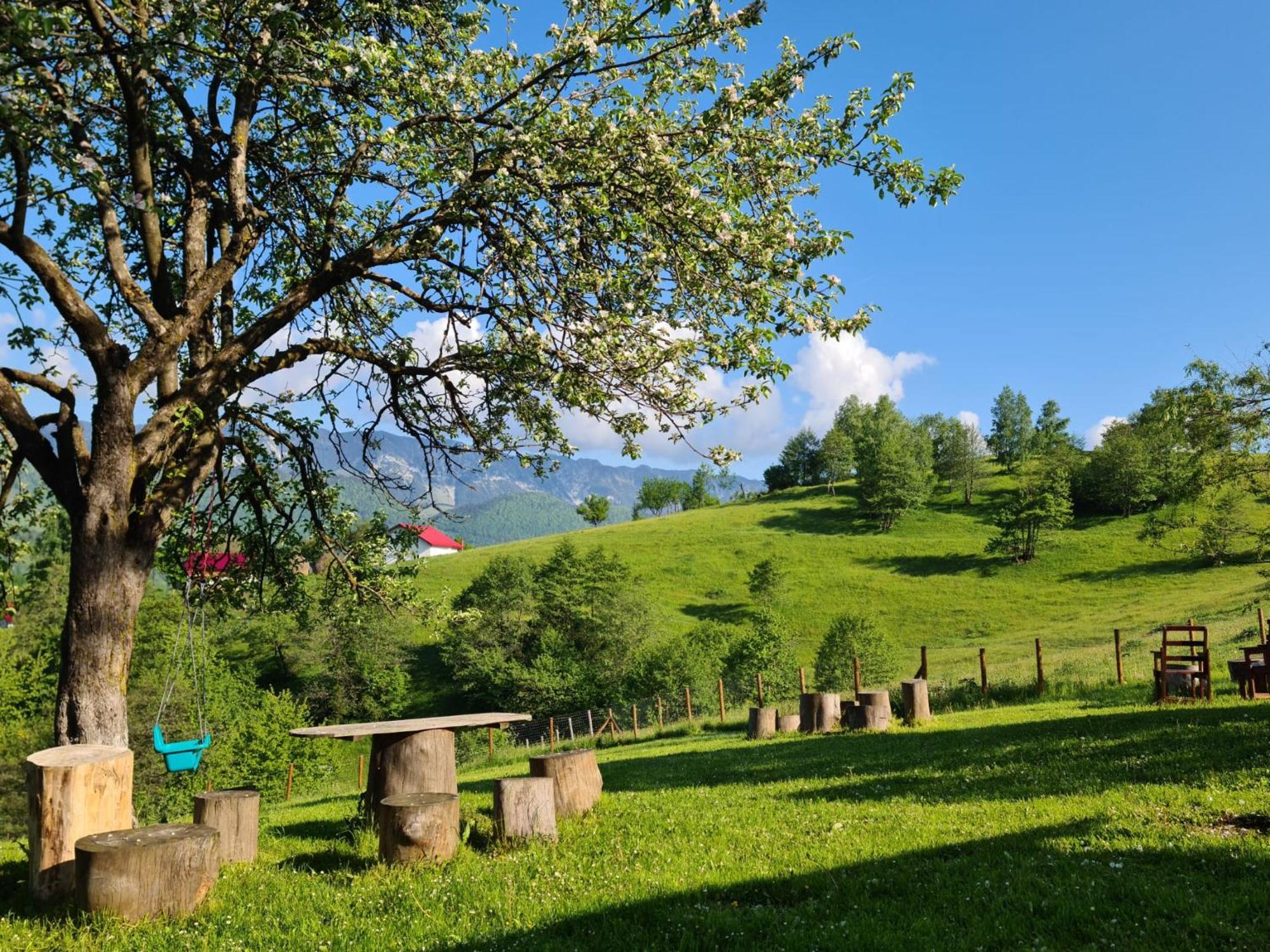 Nona Highland Home Моечу де Жос Екстериор снимка